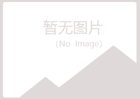 台湾冰夏能源有限公司